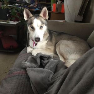 Meet your Posher, Karen